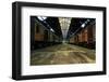 Cargo Trains in Old Train Depot-svedoliver-Framed Photographic Print