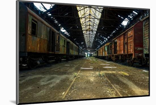 Cargo Trains in Old Train Depot-svedoliver-Mounted Photographic Print