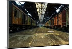 Cargo Trains in Old Train Depot-svedoliver-Mounted Photographic Print
