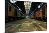 Cargo Trains in Old Train Depot-svedoliver-Mounted Photographic Print