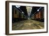 Cargo Trains in Old Train Depot-svedoliver-Framed Photographic Print