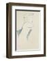 Cariatide-Amedeo Modigliani-Framed Premium Giclee Print