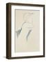 Cariatide-Amedeo Modigliani-Framed Premium Giclee Print