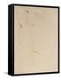 Cariatide-Amedeo Modigliani-Framed Stretched Canvas