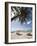 Carib Beach Barbados, Caribbean-Michael DeFreitas-Framed Photographic Print