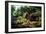 Carib Village, British Guyana, 1836-W.S. Hedges-Framed Premium Giclee Print