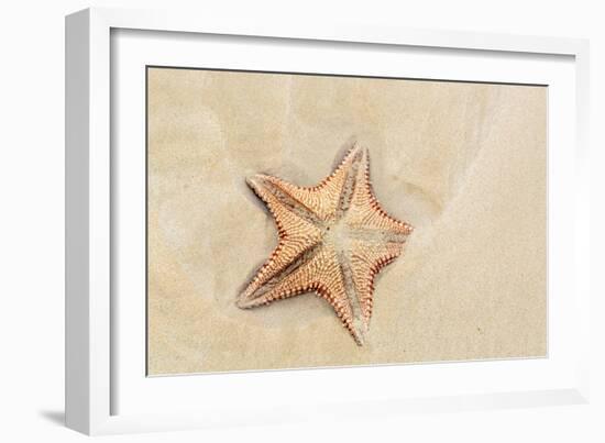 Caribbean, Anguilla. Close-Up Shot of Starfish in Sand-Alida Latham-Framed Photographic Print