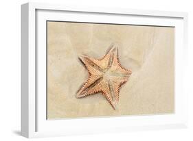 Caribbean, Anguilla. Close-Up Shot of Starfish in Sand-Alida Latham-Framed Photographic Print