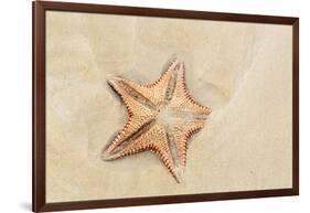 Caribbean, Anguilla. Close-Up Shot of Starfish in Sand-Alida Latham-Framed Photographic Print