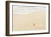 Caribbean, Anguilla. Starfish Sitting on Beach as Tide Comes In-Alida Latham-Framed Photographic Print