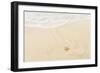 Caribbean, Anguilla. Starfish Sitting on Beach as Tide Comes In-Alida Latham-Framed Photographic Print