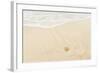 Caribbean, Anguilla. Starfish Sitting on Beach as Tide Comes In-Alida Latham-Framed Photographic Print