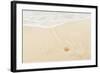 Caribbean, Anguilla. Starfish Sitting on Beach as Tide Comes In-Alida Latham-Framed Photographic Print