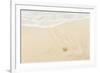 Caribbean, Anguilla. Starfish Sitting on Beach as Tide Comes In-Alida Latham-Framed Photographic Print