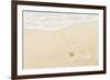 Caribbean, Anguilla. Starfish Sitting on Beach as Tide Comes In-Alida Latham-Framed Photographic Print