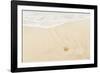 Caribbean, Anguilla. Starfish Sitting on Beach as Tide Comes In-Alida Latham-Framed Photographic Print