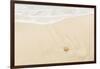 Caribbean, Anguilla. Starfish Sitting on Beach as Tide Comes In-Alida Latham-Framed Photographic Print