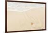 Caribbean, Anguilla. Starfish Sitting on Beach as Tide Comes In-Alida Latham-Framed Photographic Print