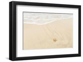Caribbean, Anguilla. Starfish Sitting on Beach as Tide Comes In-Alida Latham-Framed Photographic Print