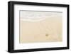 Caribbean, Anguilla. Starfish Sitting on Beach as Tide Comes In-Alida Latham-Framed Photographic Print