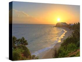 Caribbean, Antigua and Barbuda, Curtain Bluff Beach-Michele Falzone-Stretched Canvas