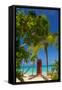 Caribbean, Antigua, Dickinson Bay, Dickinson Bay Beach, Red British Telephone Box-Alan Copson-Framed Stretched Canvas