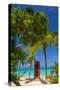 Caribbean, Antigua, Dickinson Bay, Dickinson Bay Beach, Red British Telephone Box-Alan Copson-Stretched Canvas