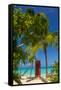 Caribbean, Antigua, Dickinson Bay, Dickinson Bay Beach, Red British Telephone Box-Alan Copson-Framed Stretched Canvas