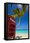 Caribbean, Antigua, Dickinson Bay, Dickinson Bay Beach, Red British Telephone Box-Alan Copson-Framed Stretched Canvas
