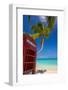 Caribbean, Antigua, Dickinson Bay, Dickinson Bay Beach, Red British Telephone Box-Alan Copson-Framed Photographic Print