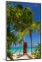 Caribbean, Antigua, Dickinson Bay, Dickinson Bay Beach, Red British Telephone Box-Alan Copson-Mounted Photographic Print