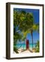 Caribbean, Antigua, Dickinson Bay, Dickinson Bay Beach, Red British Telephone Box-Alan Copson-Framed Photographic Print