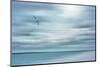 Caribbean, Bahamas, Little Exuma Island. Abstract of bird and beach.-Jaynes Gallery-Mounted Photographic Print