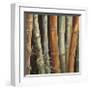 Caribbean Bamboo I-Tita Quintero-Framed Giclee Print