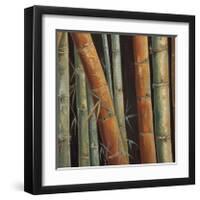 Caribbean Bamboo II-Tita Quintero-Framed Giclee Print