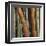 Caribbean Bamboo II-Tita Quintero-Framed Giclee Print