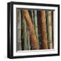 Caribbean Bamboo II-Tita Quintero-Framed Giclee Print