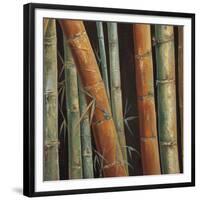 Caribbean Bamboo II-Tita Quintero-Framed Giclee Print