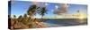 Caribbean, Barbados, Bottom Bay Beach-Michele Falzone-Stretched Canvas