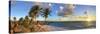Caribbean, Barbados, Bottom Bay Beach-Michele Falzone-Stretched Canvas