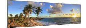 Caribbean, Barbados, Bottom Bay Beach-Michele Falzone-Mounted Photographic Print