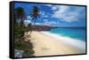 Caribbean, Barbados, Bottom Bay, Bottom Bay Beach-Alan Copson-Framed Stretched Canvas