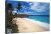 Caribbean, Barbados, Bottom Bay, Bottom Bay Beach-Alan Copson-Stretched Canvas