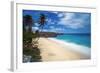 Caribbean, Barbados, Bottom Bay, Bottom Bay Beach-Alan Copson-Framed Photographic Print