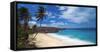 Caribbean, Barbados, Bottom Bay, Bottom Bay Beach-Alan Copson-Framed Stretched Canvas