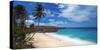 Caribbean, Barbados, Bottom Bay, Bottom Bay Beach-Alan Copson-Stretched Canvas