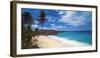 Caribbean, Barbados, Bottom Bay, Bottom Bay Beach-Alan Copson-Framed Photographic Print