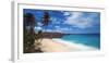 Caribbean, Barbados, Bottom Bay, Bottom Bay Beach-Alan Copson-Framed Photographic Print