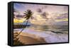 Caribbean, Barbados, Bottom Bay, Bottom Bay Beach-Alan Copson-Framed Stretched Canvas