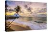 Caribbean, Barbados, Bottom Bay, Bottom Bay Beach-Alan Copson-Stretched Canvas